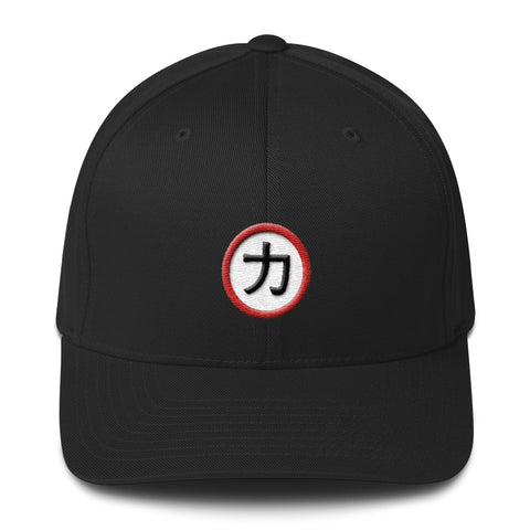 Chikara - Embroidered Baseball Hat
